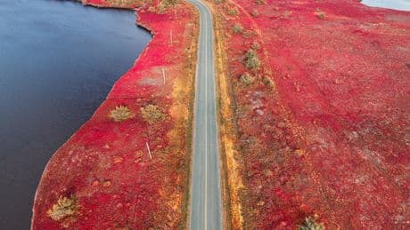 L'automne au Canada : où partir pour profiter de la saison des couleurs ?