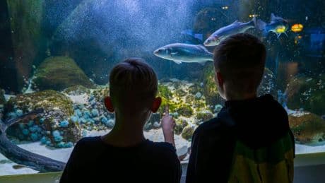 Berlin: Regenwetter? Diese Indoor-Aktivitäten sind wahre Ferientipps