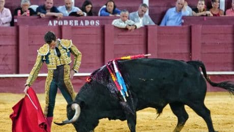 La exuberante rotundidad de Daniel Luque expande su fértil verano en Málaga