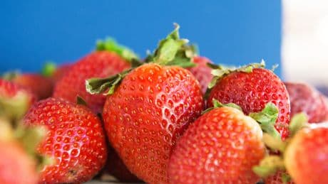 Vor dem Essen: Sollte man Erdbeeren mit Salzwasser abwaschen?