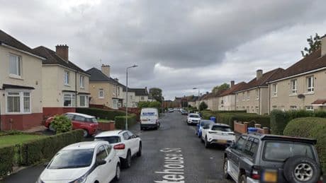 Police find drugs and XL Bully in sting at Glasgow flat as two arrested