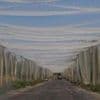 Why Donetsk matters so much for Ukraine's defences