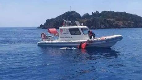 Bodrum'dan yüzerek yurt dışına kaçmaya çalıştılar! İki düzensiz göçmen kıskıvrak yakalandı