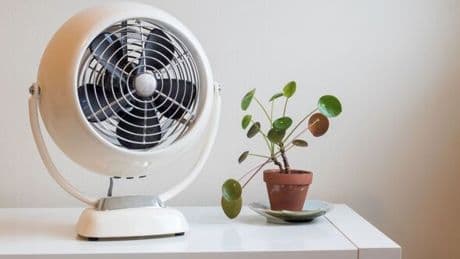 Expert reveals the reason you shouldn't leave a fan on overnight