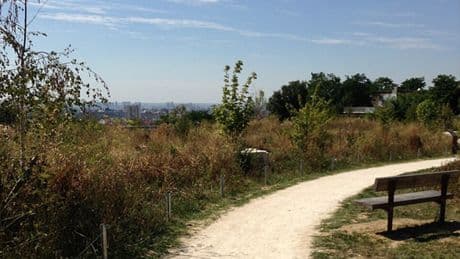 Jeune femme de 20 ans séquestrée puis violée dans le Val-de-Marne : un suspect mis en examen et écroué