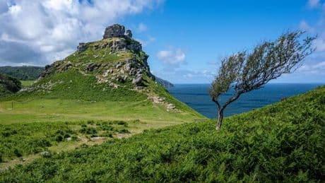 Beautiful coastal hike with otherworldly landscape and feral goats is a 'true gem'
