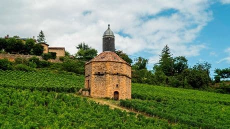 Spécial vins – Beaujolais, chinon, bergerac, les rouges à tire-bouchonner