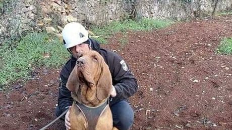 Bruno, il giallo del cane eroe ucciso da un boccone con dei chiodi. Il padrone: «Ero io il bersaglio»
