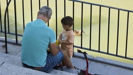 Un experto explica cómo reclamar miles de euros a la Seguridad Social en tu pensión: Se lo pagaban solo a las madres, pero muchos padres tienen derecho a cobrarlo