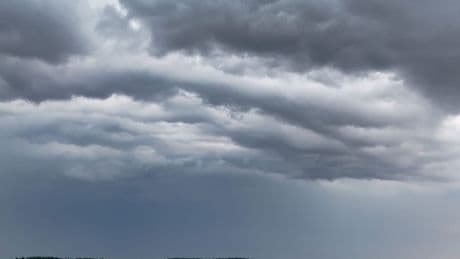 Sommerpause im Südwesten: Jetzt kommt die Gießkanne von oben