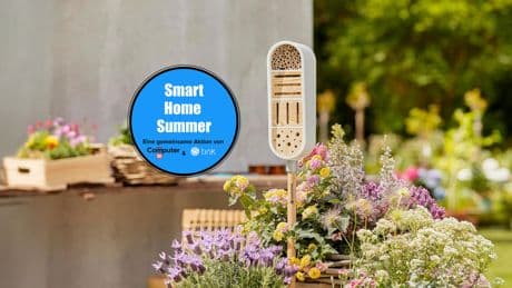 Intelligente Insektenhotels: Darum sollten auch Sie eines im Garten haben