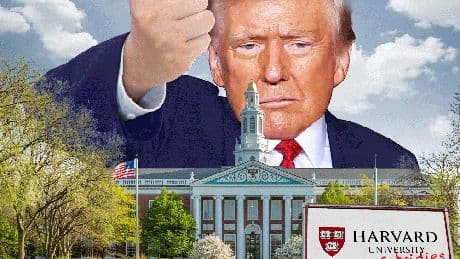 Why Wall Street fat cats are sweating Trump’s war on ‘woke’ colleges