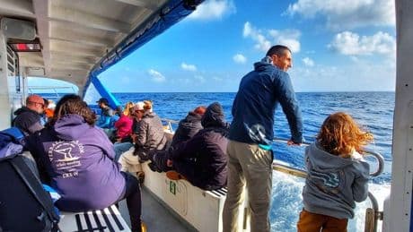 En busca de ballenas en la costa de Bizkaia