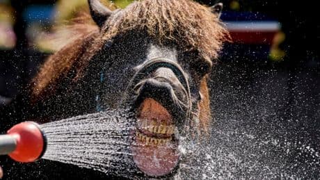 Photos show how extreme heat is affecting parts of Europe