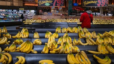 Lawsuit challenges USDA demand for food stamp data as some states prepare to comply