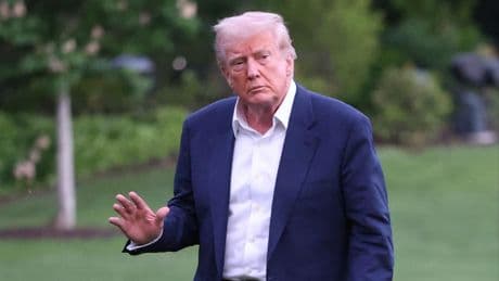 Aux États-Unis, le «sabotage» en règle de la recherche sur l’environnement par l’Administration Trump