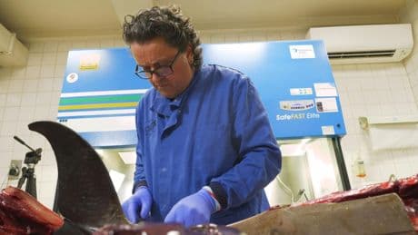 A real-world CSI for sea life: The lab investigating deaths we're all complicit in