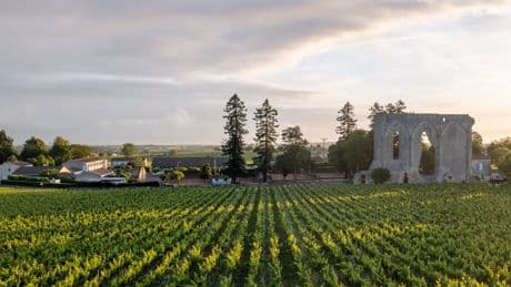 I've traveled to 77 wine regions across the world. Here are the 5 that everyone should visit at least once.