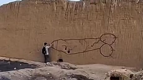 Fury as yob spray paints giant penis onto ancient UNESCO site