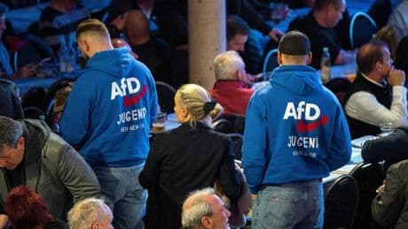 Umfrage: Fast die Hälfte der Deutschen laut Umfrage für AfD-Verbot