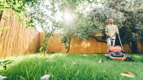 Amazon slashes ‘lightweight and easy to manoeuvre’ cordless lawnmower by £100