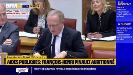 Aides publiques: "Avoir des aides plus ciblées en commençant par les secteurs sous tension", estime François-Henri Pinault, PDG de Kering