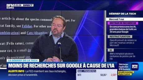 Moins de recherches sur Google à cause de l'IA - 07/05