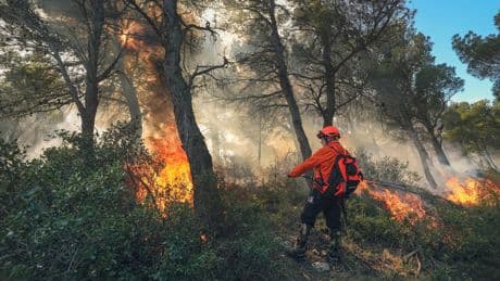 Les pompiers se préparent à lutter contre les feux de forêts cet été