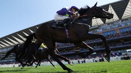 Royal Ascot Odds: Best Betting Odds for Day 3 at Royal Ascot