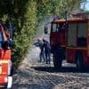 Risque d’incendies : les promenades en forêt limitées en Maine-et-Loire