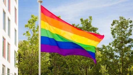 Councils controlled by Reform UK will be banned from flying LGBT Pride flags from their buildings