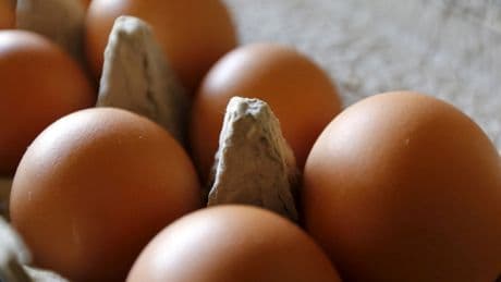 Salmonella Outbreak Linked to Eggs Sickens Dozens