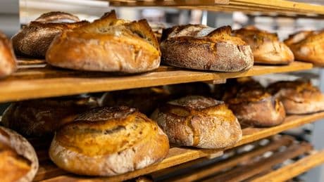 Steigende Preise: Ziehen uns die Bäcker das Geld aus der Tasche?