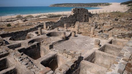 Archaeologists uncover fast food ancient Romans frequently snacked on