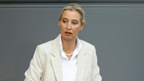 Politikerbeleidigungen – Alice Weidel nutzt umstrittenen Paragrafen 188