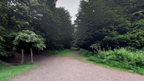Boy, 10, mauled by two dogs in horror attack on walk with mum at park sparking urgent