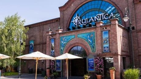 Europa-Park Rust: Mutmaßlicher Missbrauch einer Sechsjährigen – Verdächtiger nach Deutschland ausgeliefert