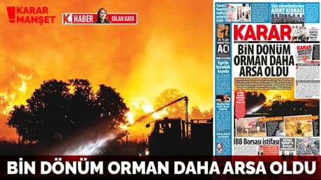 Bin dönüm orman daha arsa oldu