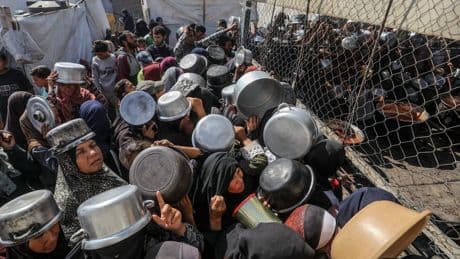 ‘Our families will not survive’: UK Palestinians demand action to save relatives