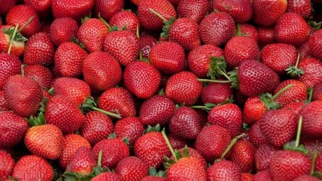 So THAT's Why Restaurant Strawberries Taste So Much Better