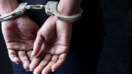 Female school teacher charged with sexually abusing Yorkshire terrier
