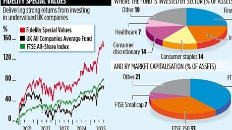 FIDELITY SPECIAL VALUES: Playing the waiting game nets big returns from undervalued stocks