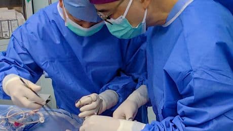 Scientists Perform First Pig-to-Human Lung Transplant