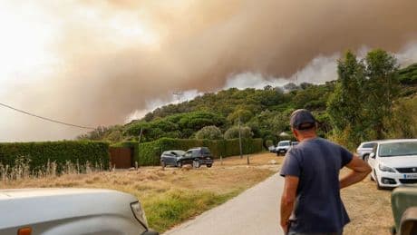 Ungünstige Wetterbedingungen: Waldbrände in Spanien und Frankreich – Touristen in Sicherheit gebracht