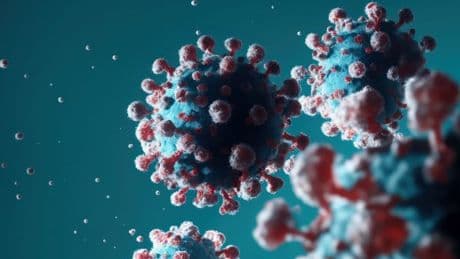 Symptoms of 'different' Nimbus virus as UKHSA confirms it has reached UK