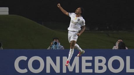 El campeón, Botafogo, sufre para seguir vivo