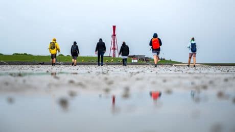 16 Jahre Unesco-Auszeichnung: Kostenlose Führungen - Wattenmeer feiert Welterbegeburtstag