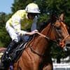 Robin Goodfellow's racing tips: Best bets for Wednesday, July 23