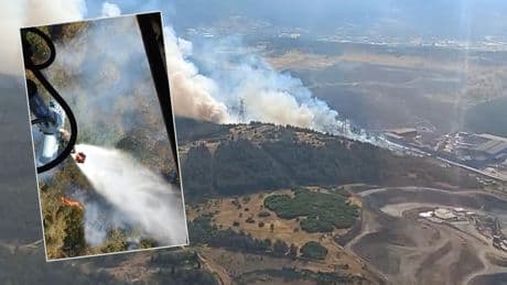 İzmir'de ormanlık alanda yangın paniği: Çok sayıda ekip seferber halde
