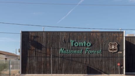 Police Seek Answers in Fatal Shooting of Teen Campers in Arizona National Forest